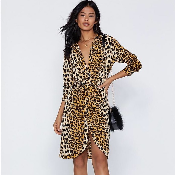 Leopard Print Dress - Picture 2 of 4